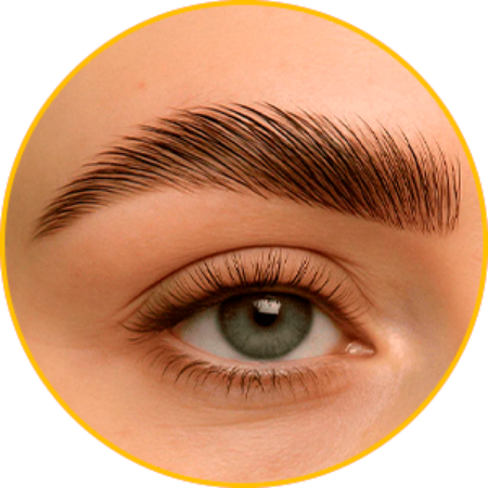 Imagen para la categoría Laminado de Cejas 